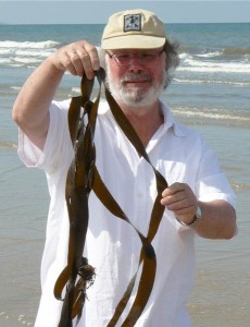 Braunalge mit Jürgen Marek am Strand